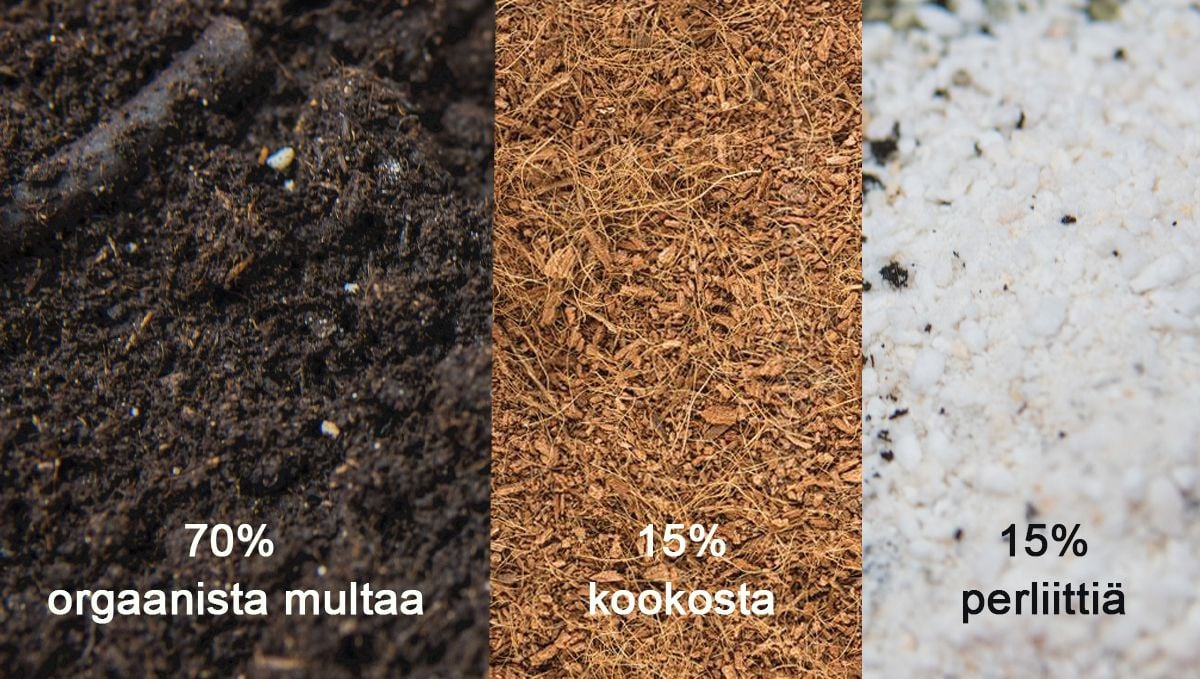 Paras multasekoitus kokeneille kasvattajille Paras multasekoitus kokeneille kasvattajille