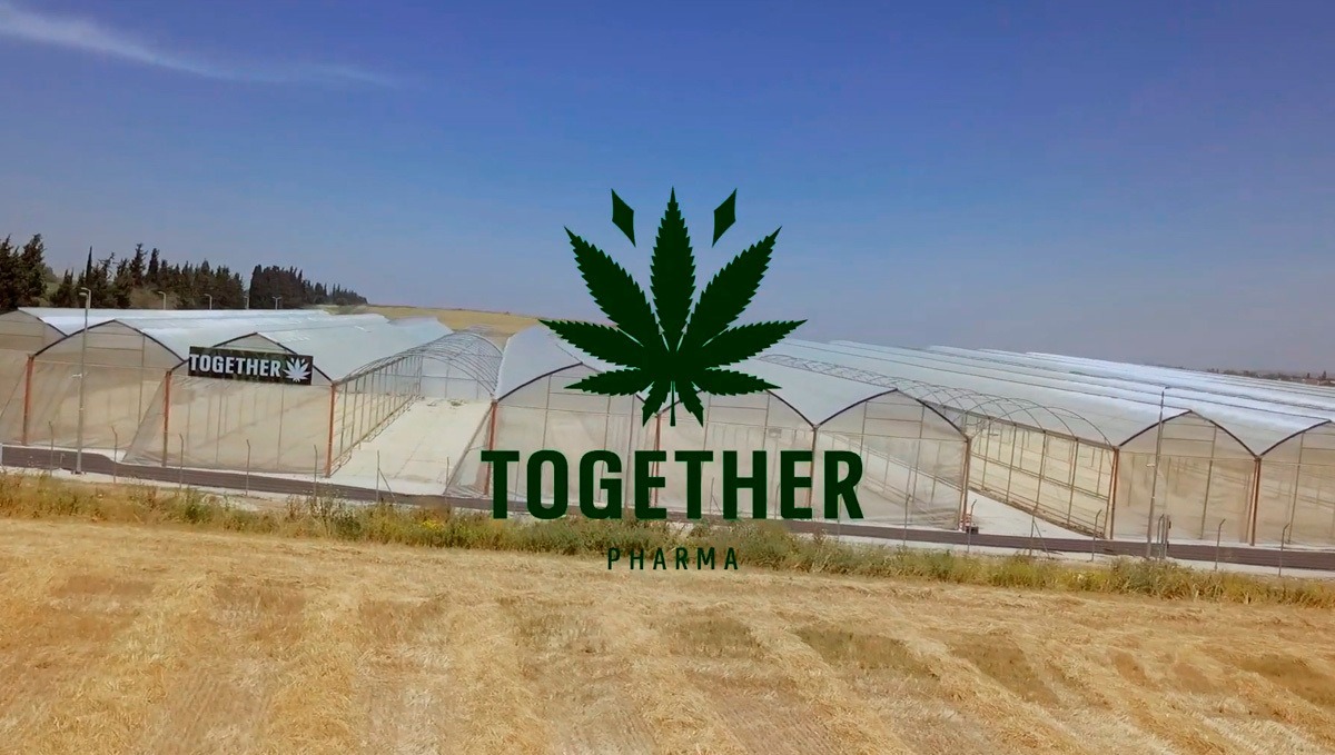 The First Batch of Uganda’s Medical Cannabis is Coming to the UK: A large complex of greenhouses in a field with the Together Pharma logo in the foreground The First Batch of Uganda’s Medical Cannabis is Coming to the UK: A large complex of greenhouses in a field with the Together Pharma logo in the foreground