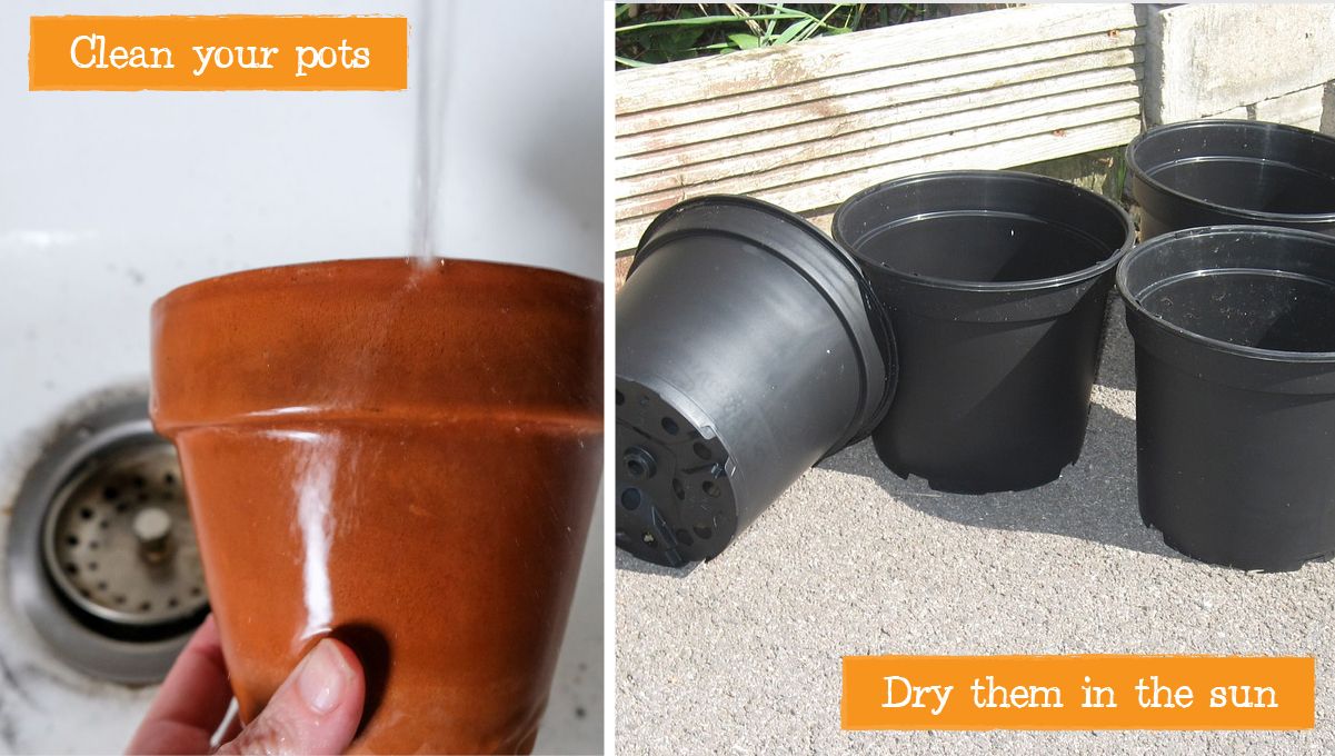 Top sanitation tips: cleaning the pots