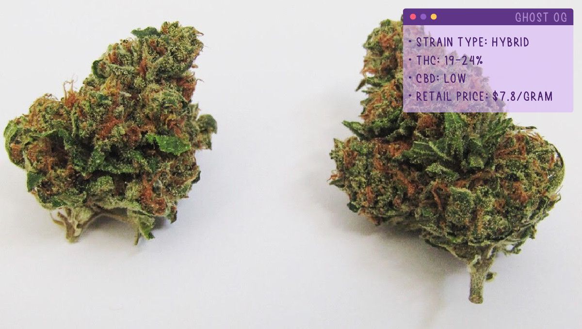 22 Best Weed Strains to Try in 2022: Ghost OG