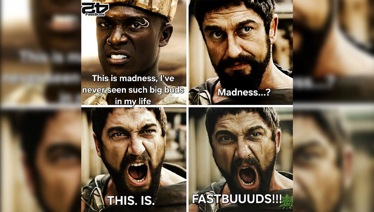 Discord Meme Vincitore Maggio