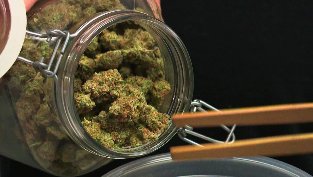 Weed in the philippines: sale Weed in the philippines: sale