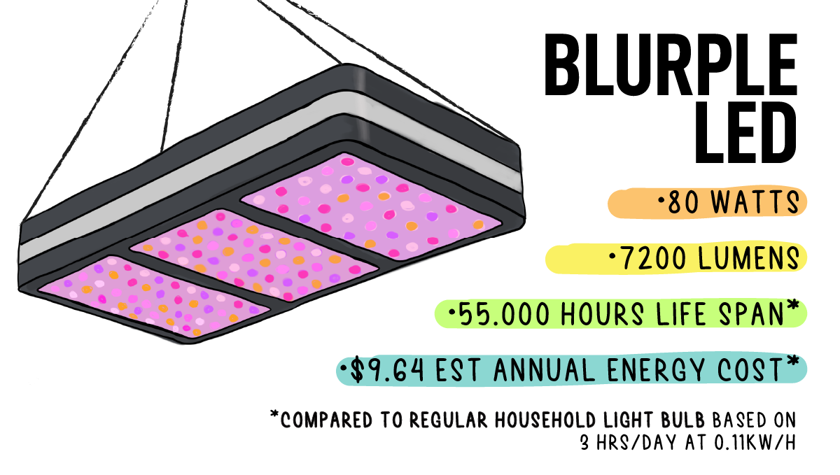 Types of lights for autoflowers: LEDs
