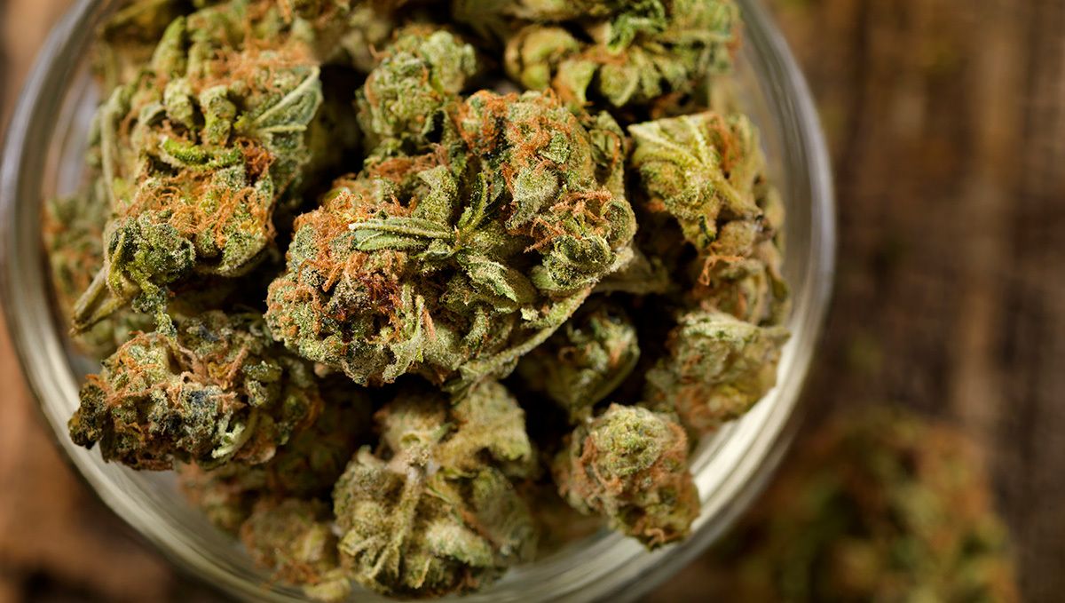 How to Cure Buds: burping jars How to Cure Buds: burping jars