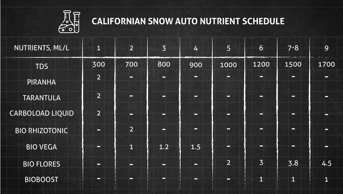 Californian Snow Auto cannabis strain: veg and flower nutrient schedule
