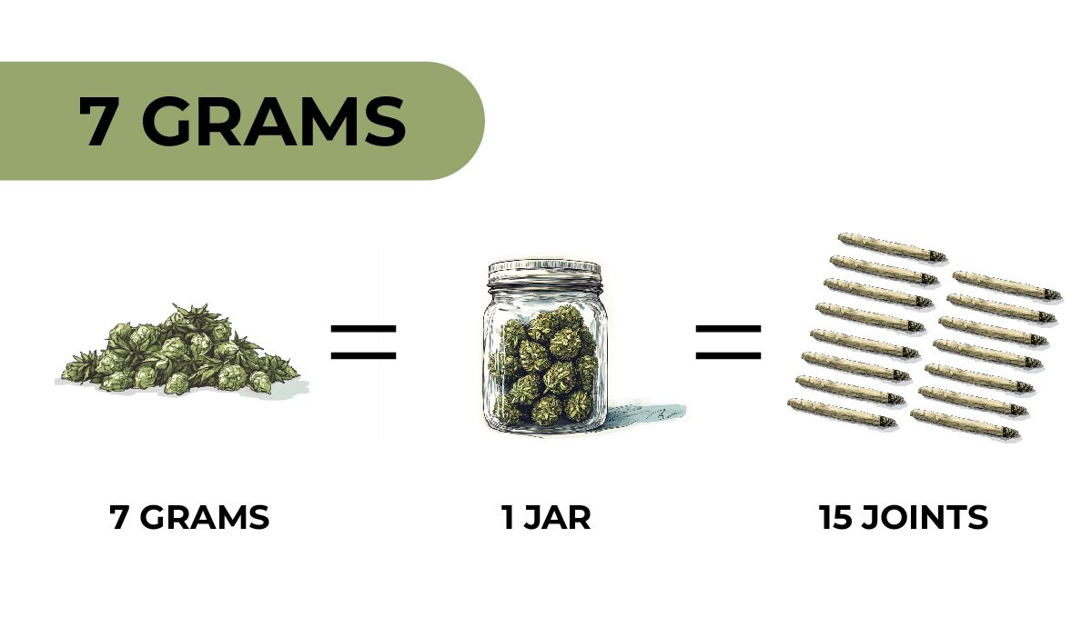 7 Grams of Weed: Understanding Marijuana Weights and Measurements: An infographic showing the number of joints you can roll if you have a quarter of weed
