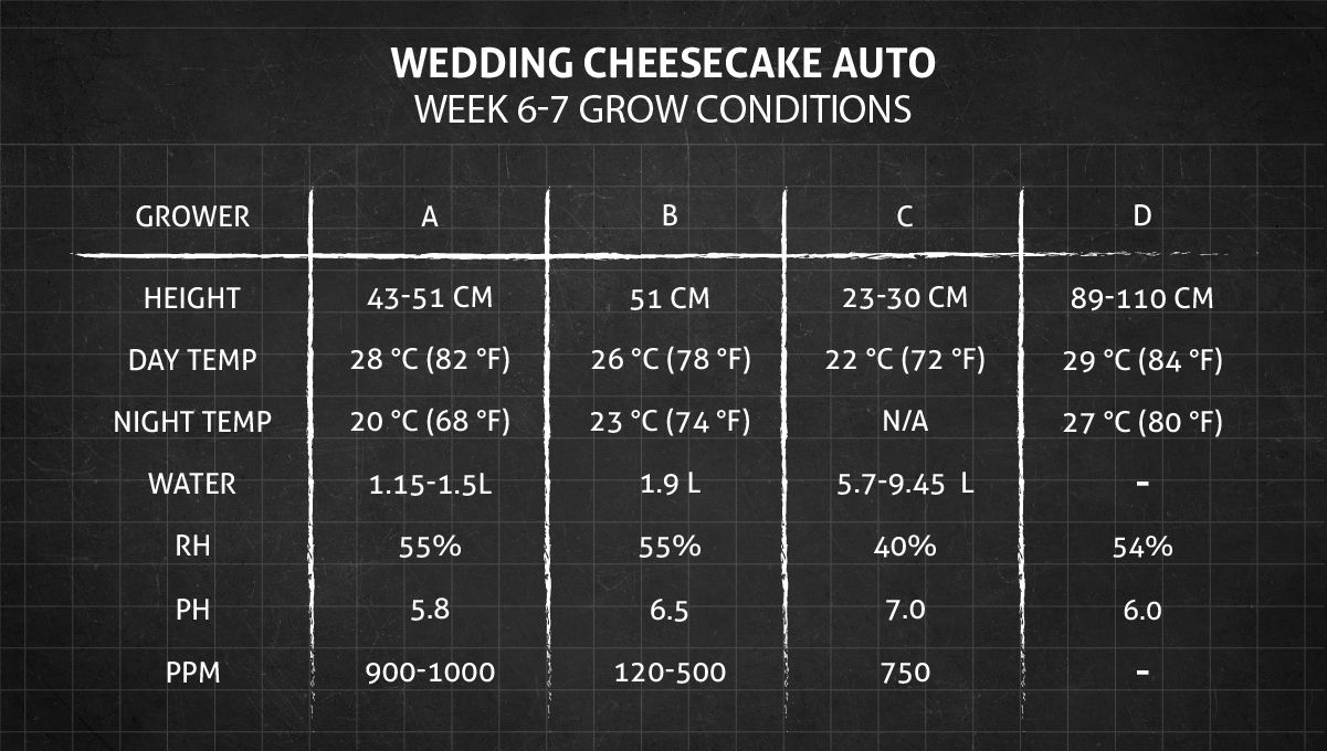 Grow Conditions Weeks 6-7 Grow Conditions Weeks 6-7