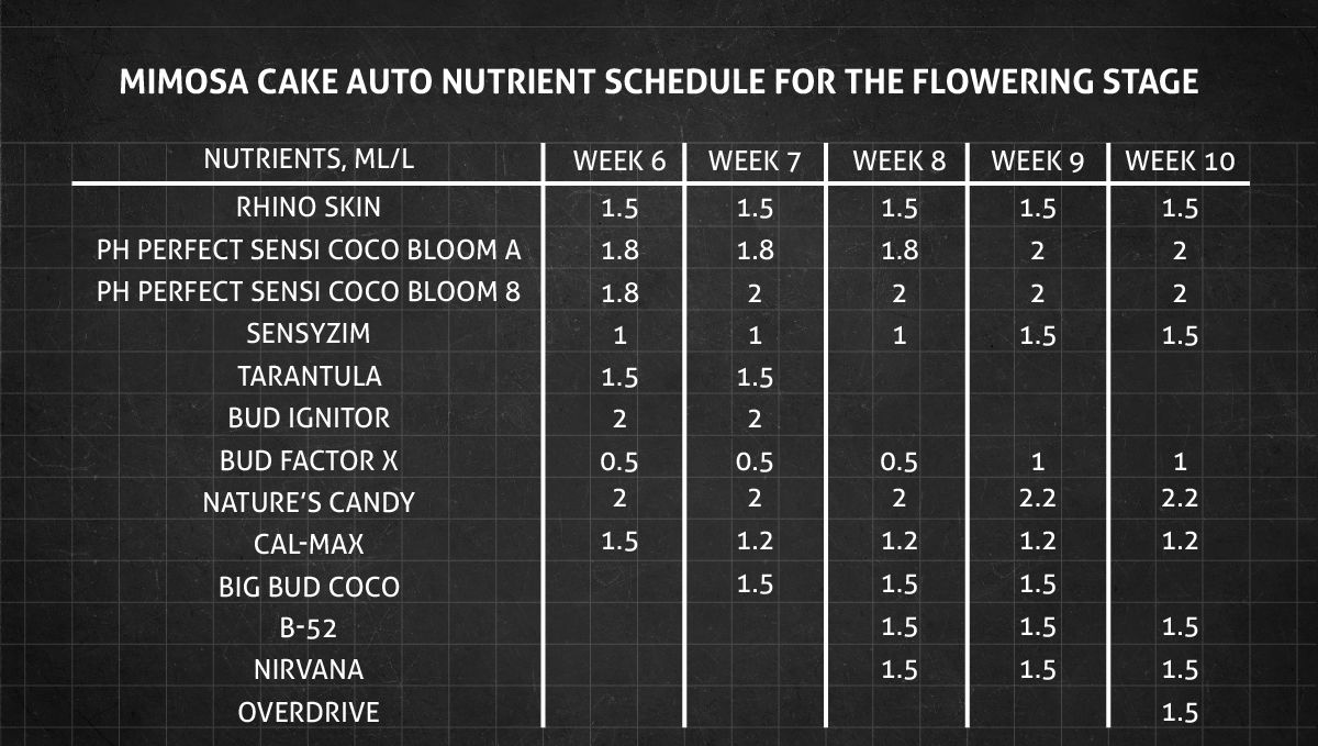 Mimosa Cake Auto cannabis strain: flower nutrient schedule