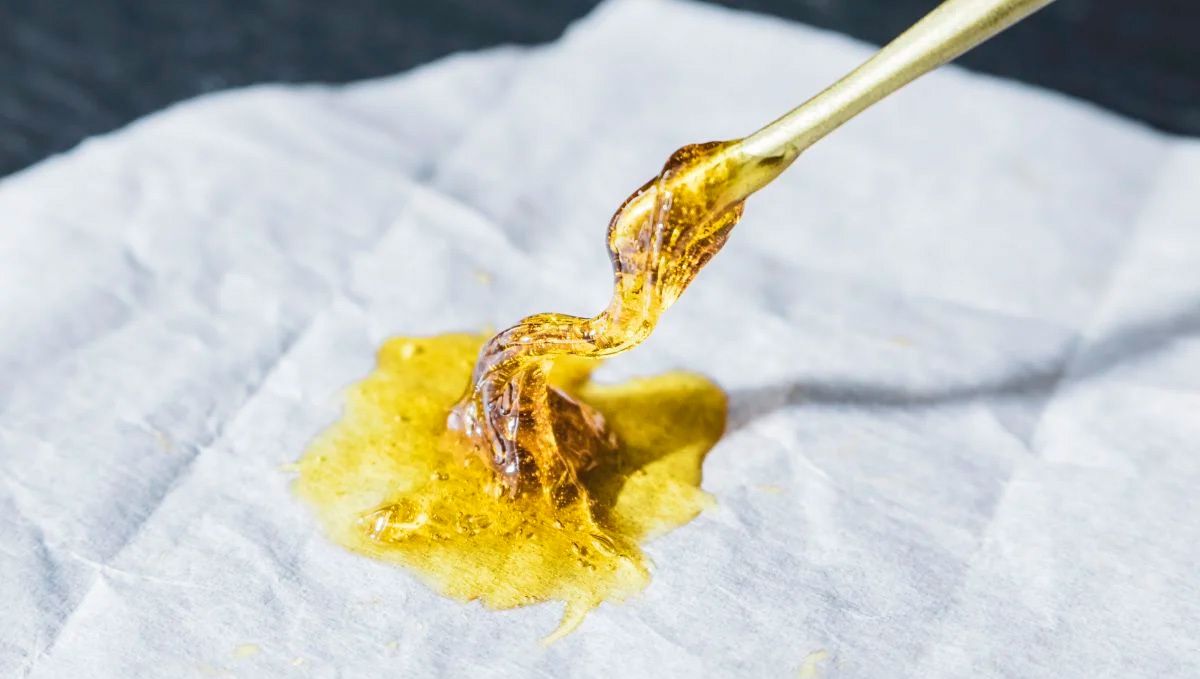 Frisch hergestelltes Rosin Hasch. Cannabis-Konzentrate: Rosin Hasch