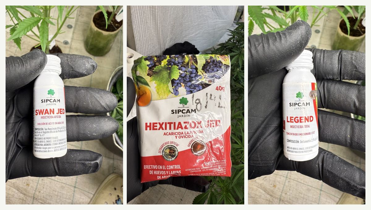 pest_treatments_triptych_1200x679.jpg pests