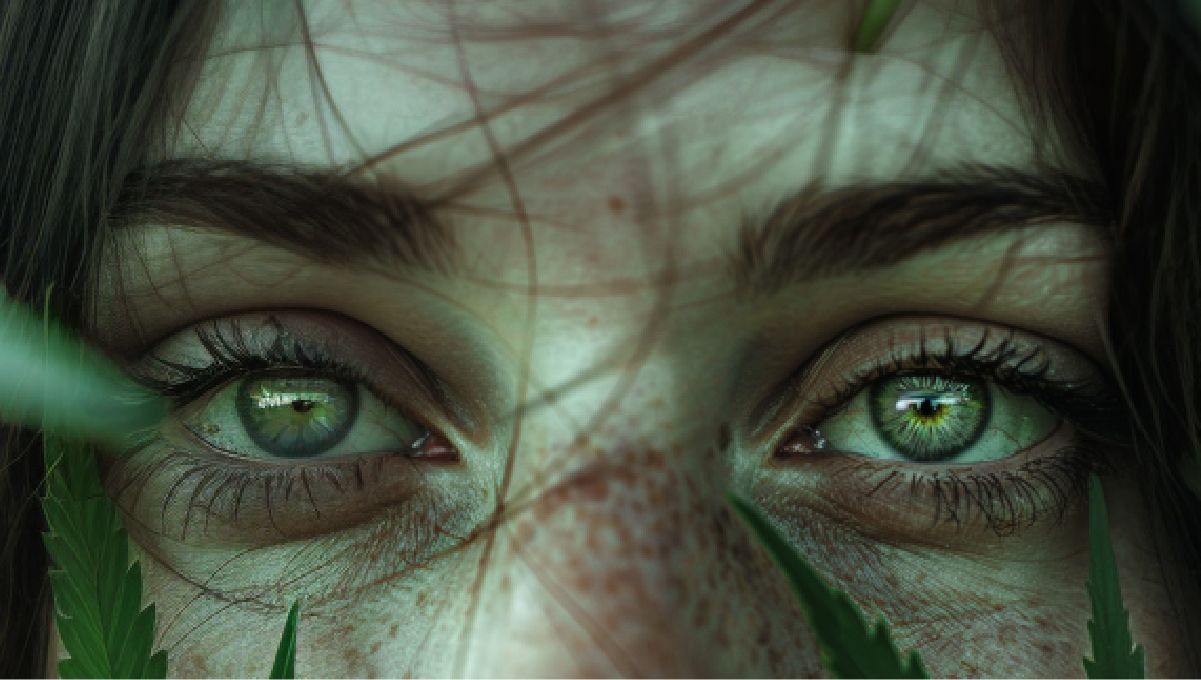 Does Marijuana Boost Brain Power or Harm It? A young freckled woman's green eyes up close Does Marijuana Boost Brain Power or Harm It? A young freckled woman's green eyes up close