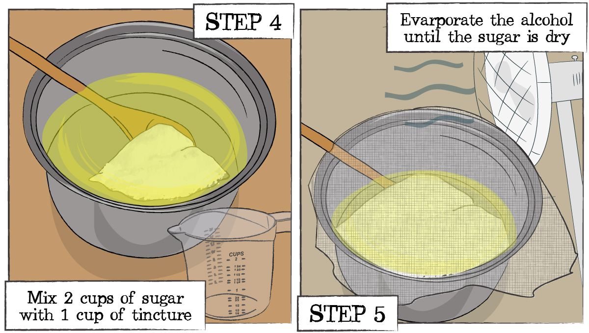 How to make cannabis sugar: step 4 and 5 How to make cannabis sugar: step 4 and 5