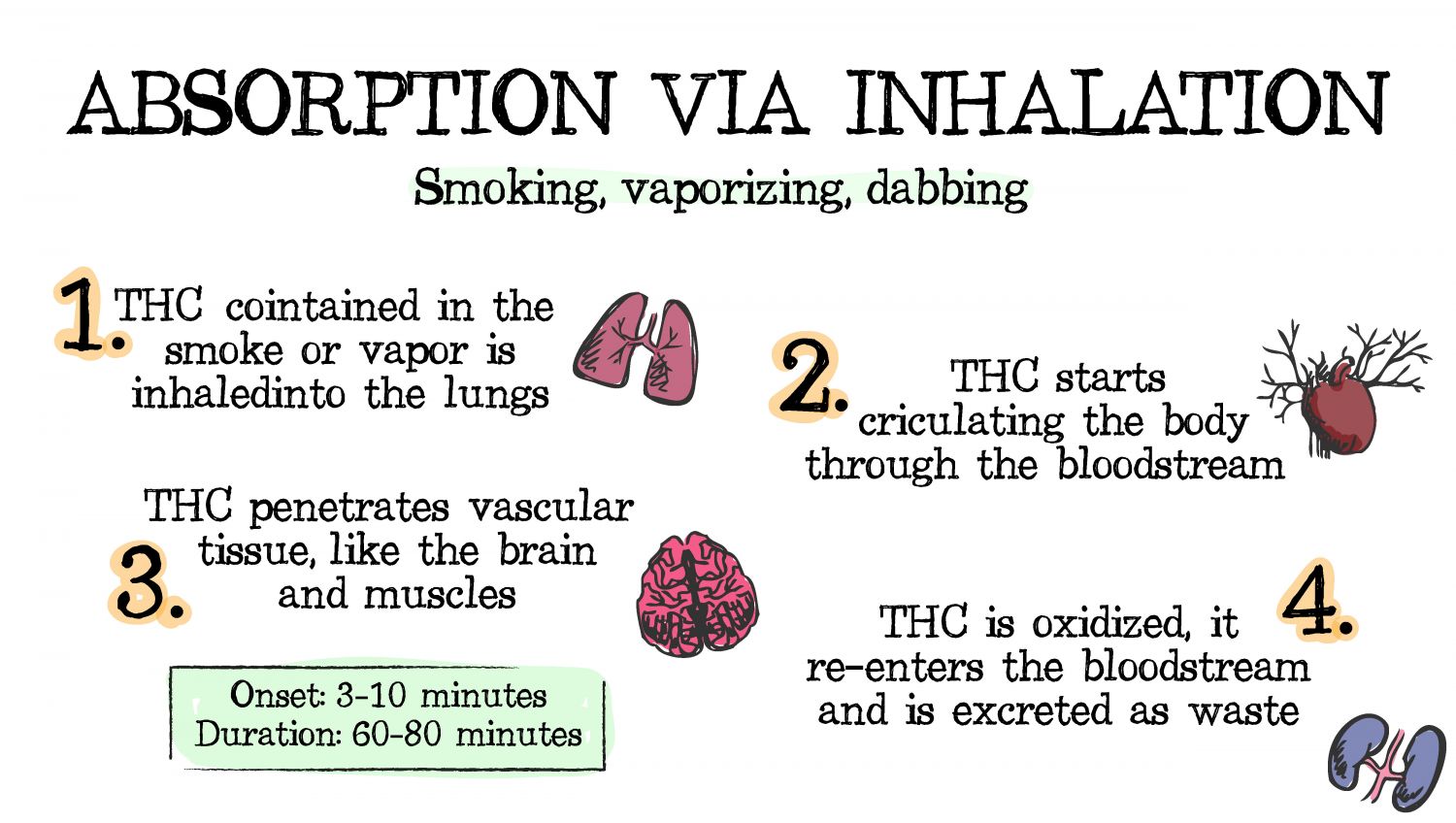 How cannabis can be absorbed: inhalation
