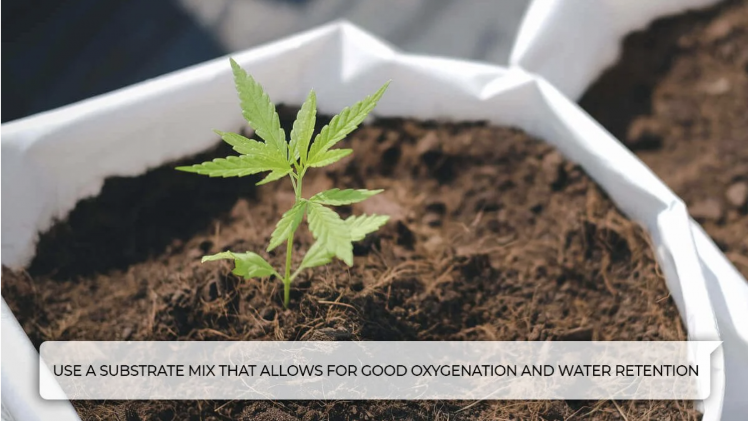 Screenshot 2021-07-14 at 18.33.45.png