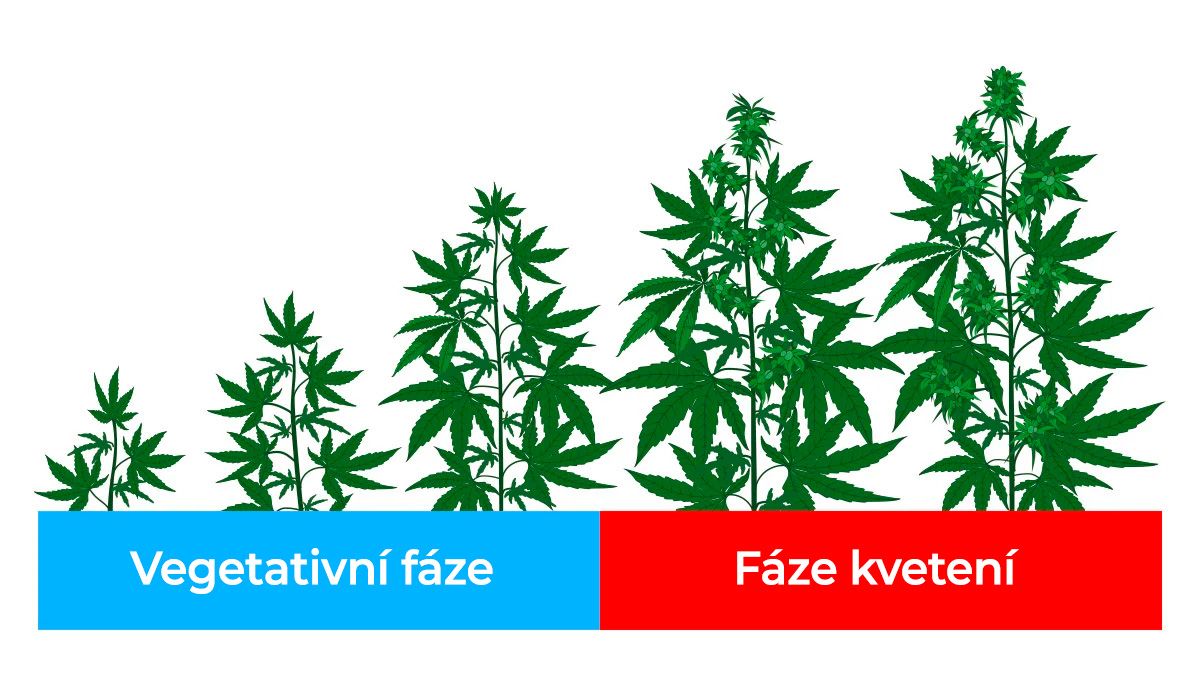 Nejlepší světelné spektrum pro automobily: světelné spektrum pro jednotlivé fáze