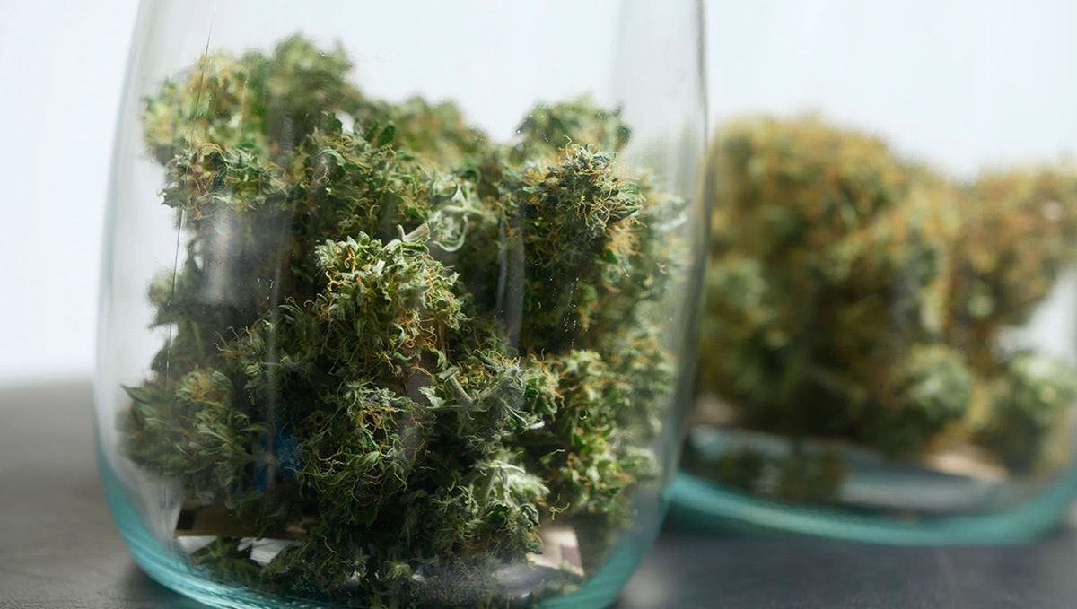 White Widow Auto Guide: Fermentierung Die Fermentierung sollte in luftdicht verschlossenen Glasgefäßen erfolgen!