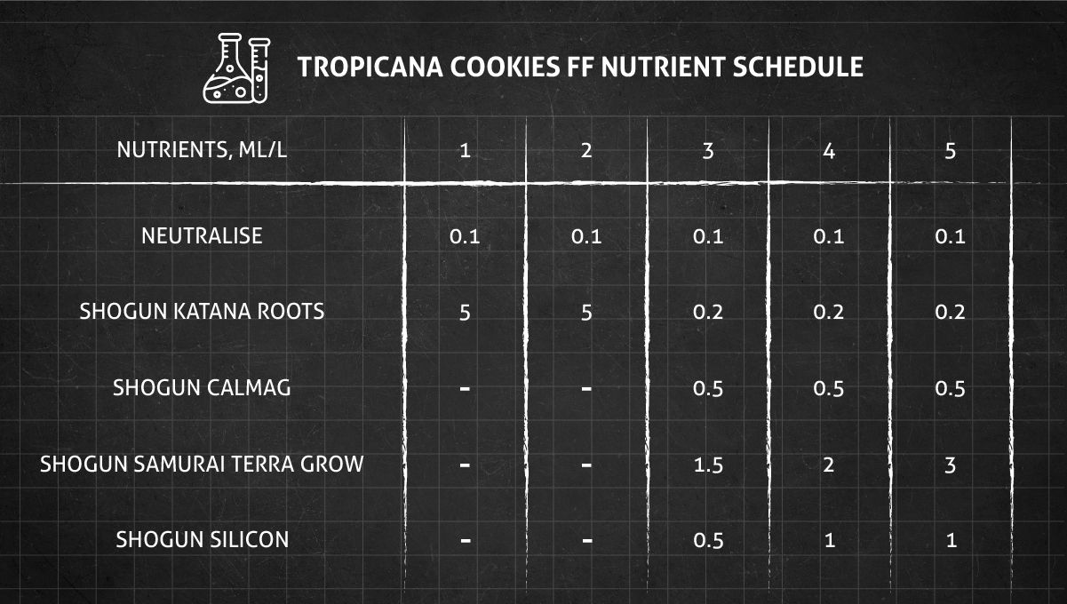 Tropicana Cookies FF cannabis strain: veg nutrient schedule Tropicana Cookies FF cannabis strain: veg nutrient schedule