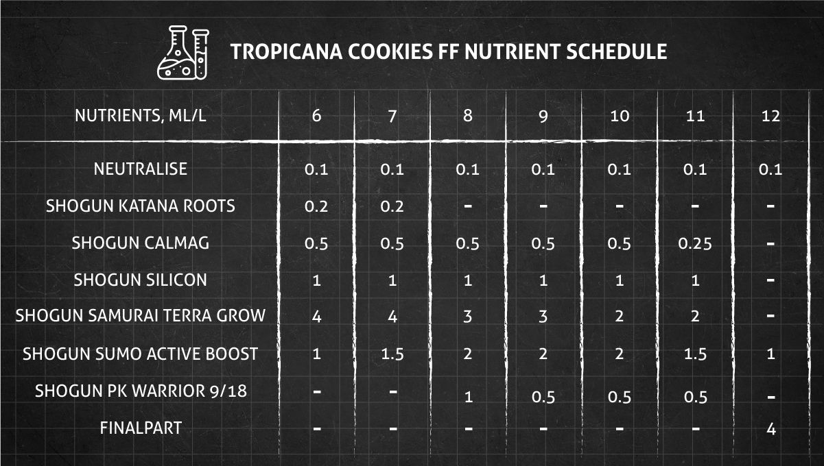 Tropicana Cookies FF cannabis strain: flower nutrient schedule Tropicana Cookies FF cannabis strain: flower nutrient schedule
