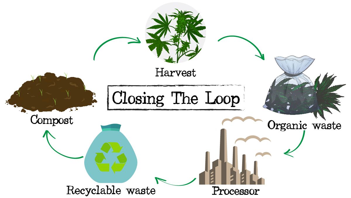 Waste management in cannabis: organic waste Waste management in cannabis: organic waste