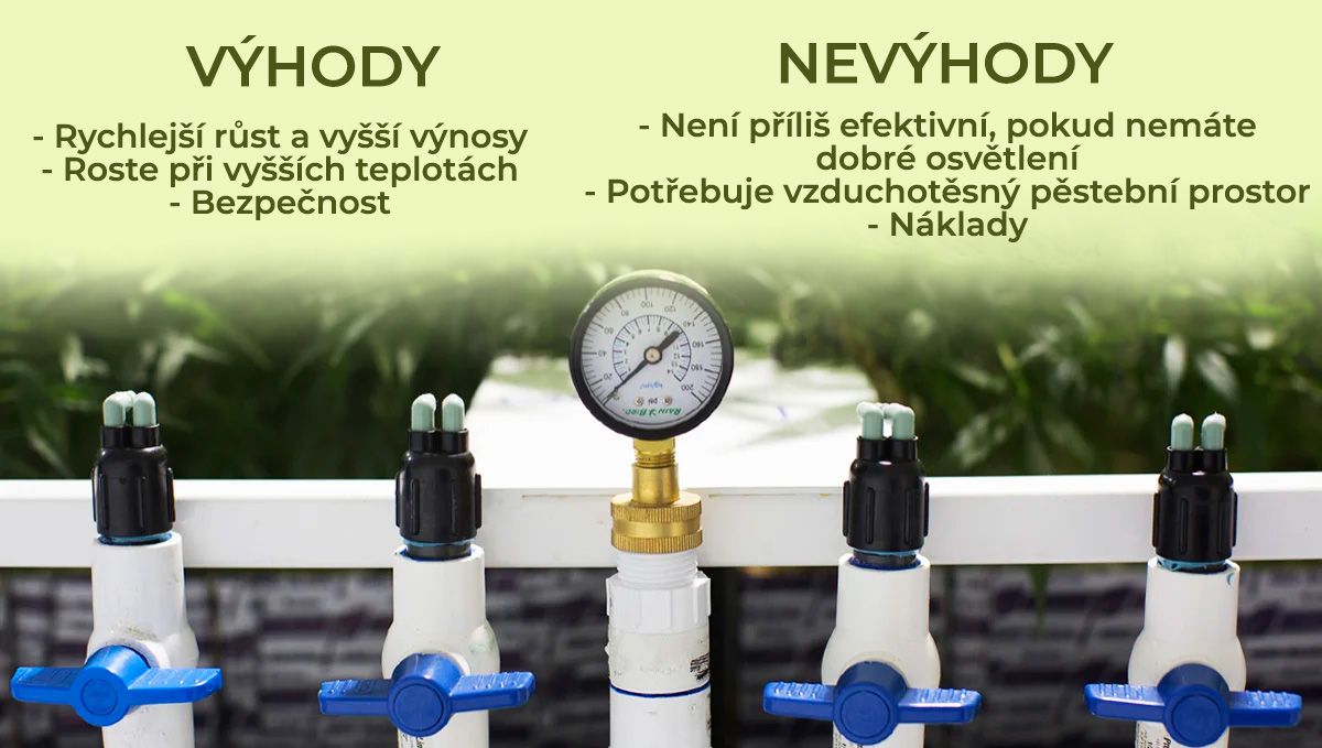 Zvýšení výnosů konopí pomocí CO2: výhody a nevýhody