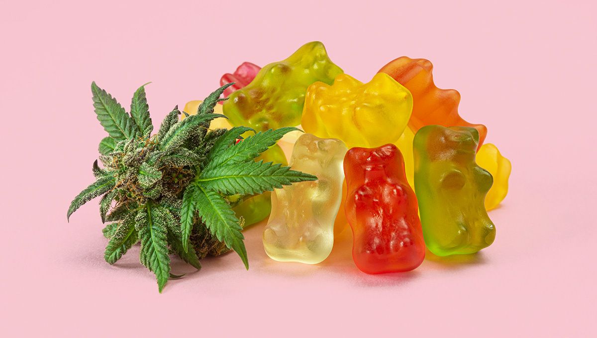 How to make weed gummy bears: how to make weed gummies How to make weed gummy bears: how to make weed gummies