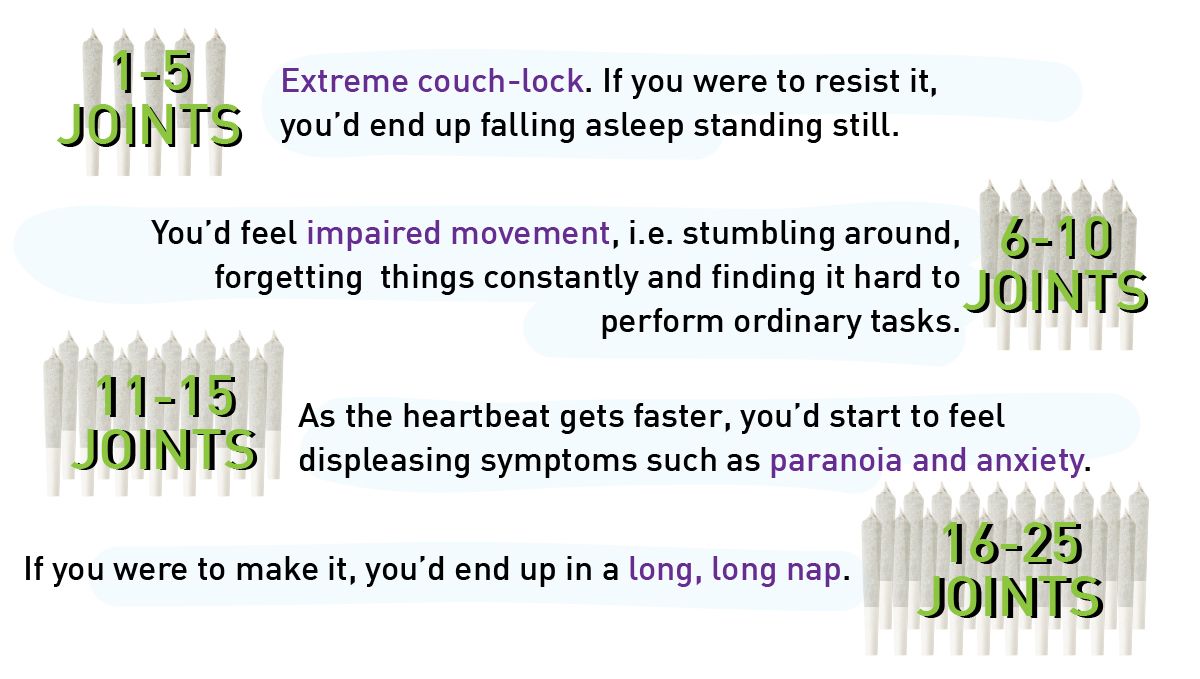 Can marijuana kill you?: what happens if you try to overdose on cannabis?