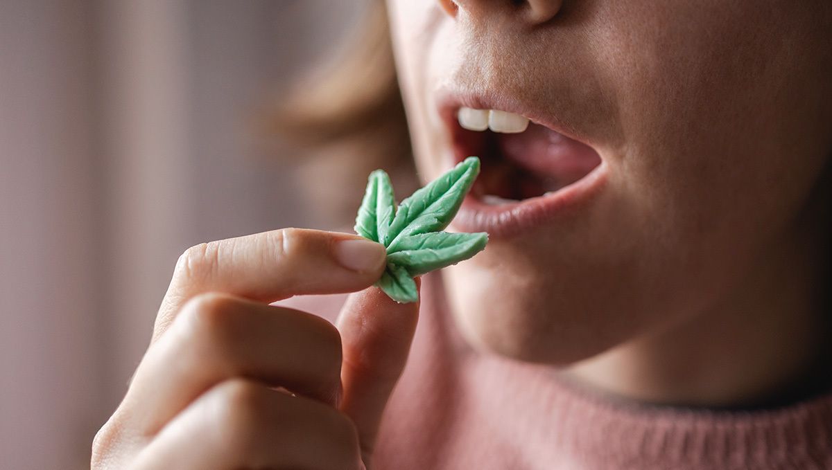 How to make weed gummy bears: how many should you eat How to make weed gummy bears: how many should you eat