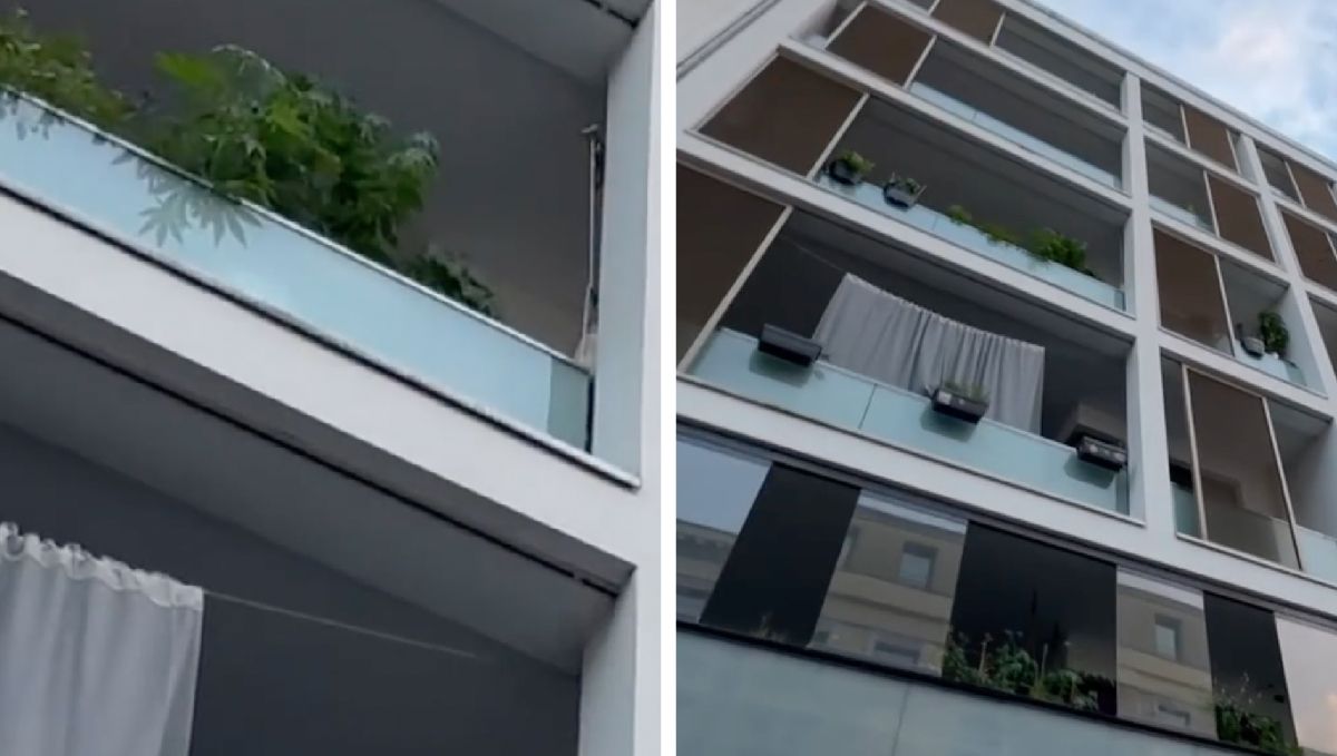 Zurück nach Deutschland: HamCan 2024 Expo in Hamburg Zurück nach Deutschland: HamCan 2024 Expo in Hamburg