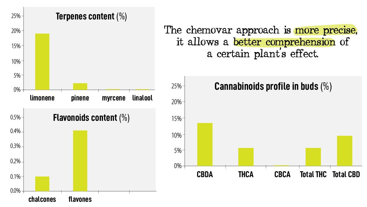 Cannabis chemtypes and chemovars: the chemovar approach Cannabis chemtypes and chemovars: the chemovar approach