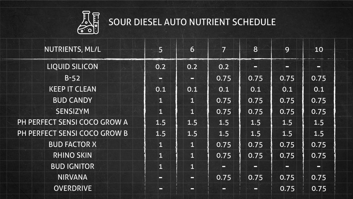 Sour Diesel Auto cannabis strain: feeding chart for the flowering stage Sour Diesel Auto cannabis strain: feeding chart for the flowering stage