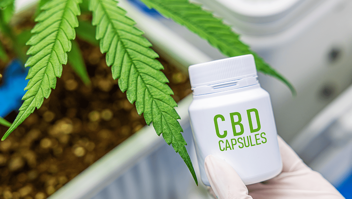 Weed in germany: medicinal cannabis Weed in germany: medicinal cannabis