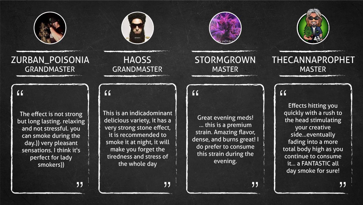 Gorilla Z Auto cannabis strain: smoke report Gorilla Z Auto cannabis strain: smoke report