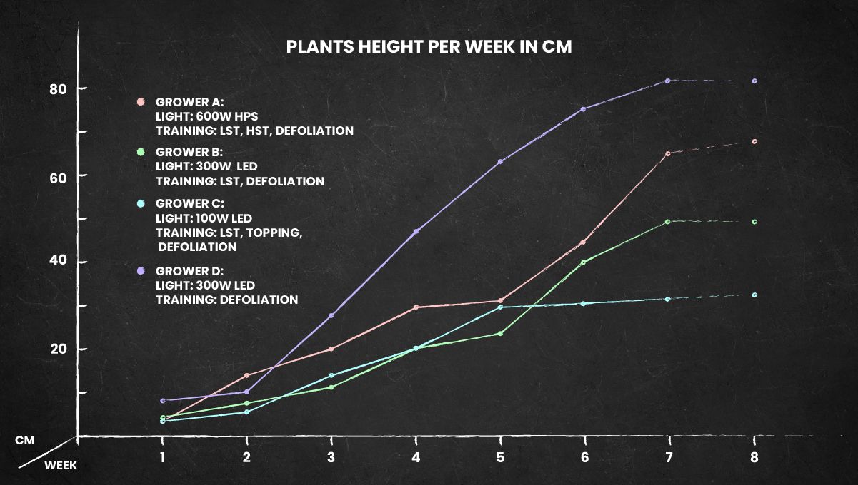 Strawberry Pie Auto Cannabis Strain Week-by-Week Guide: Week 11 grow conditions