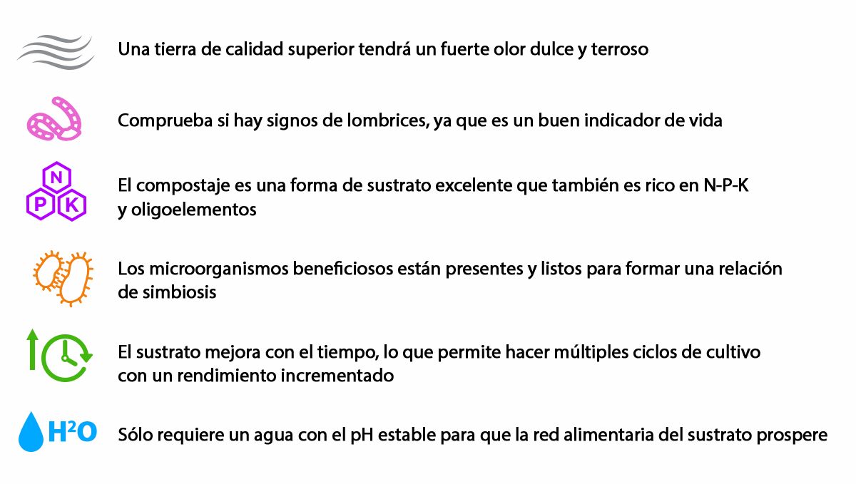 Beneficios de una buena tierra para tus plantas de cannabis