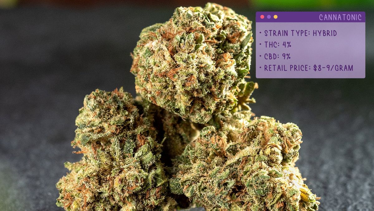 Best Weed Strains for Anxiety: Cannatonic Best Weed Strains for Anxiety: Cannatonic