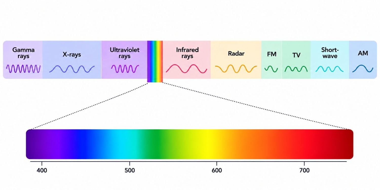 Best Light Schedule for Autoflowers: best light spectrum for autoflowers