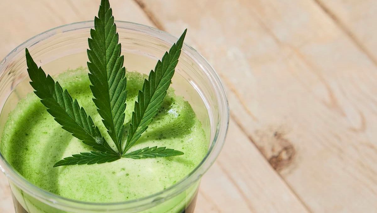 THC Syrup Explained: What Is THC Lean & How to Make It: A drink in a transparent glass with greenish foam and a fresh cannabis leaf on top THC Syrup Explained: What Is THC Lean & How to Make It: A drink in a transparent glass with greenish foam and a fresh cannabis leaf on top