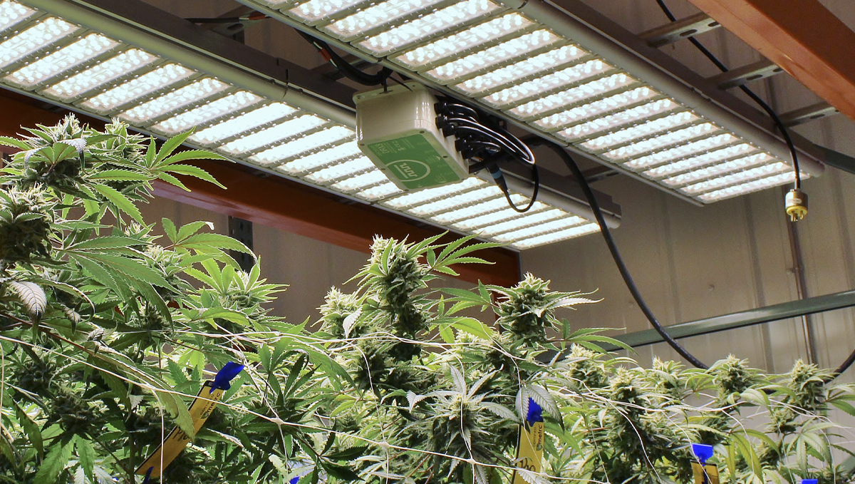 Led de espectro completo