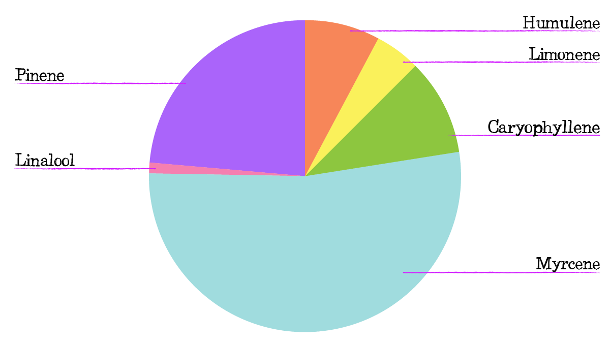 Russian Auto Cannabis Strain Week-by-Week Guide: Terpene profile Russian Auto Cannabis Strain Week-by-Week Guide: Terpene profile