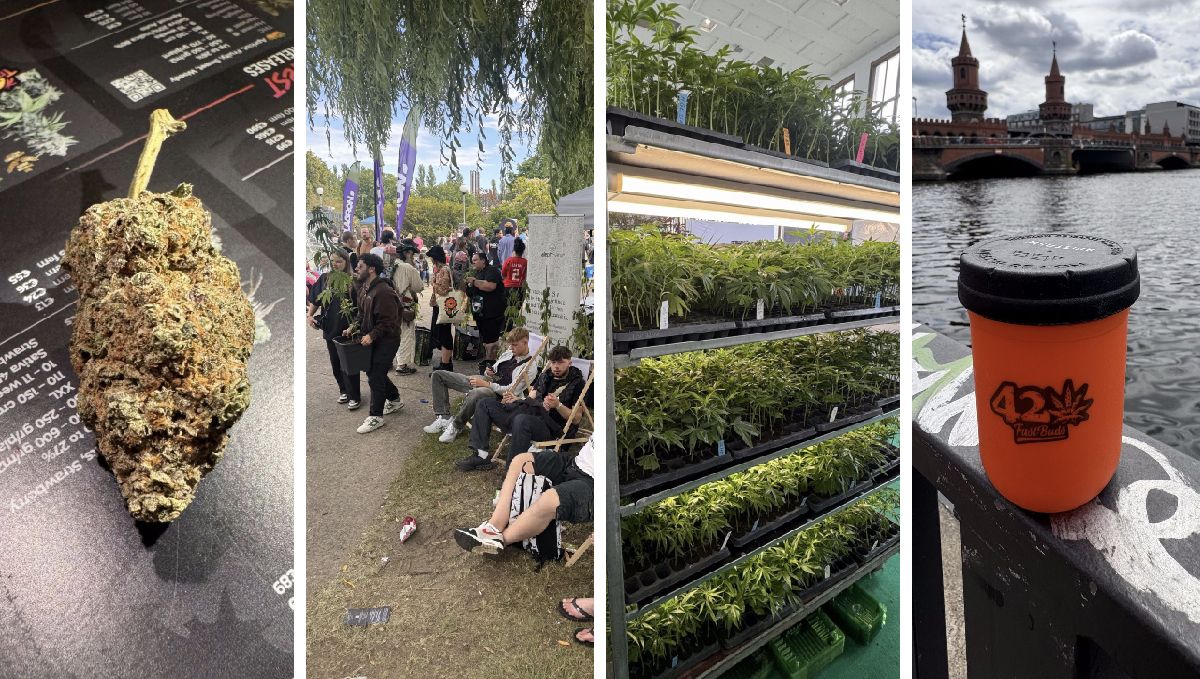 Eindrücke von der Ausgabe 2024