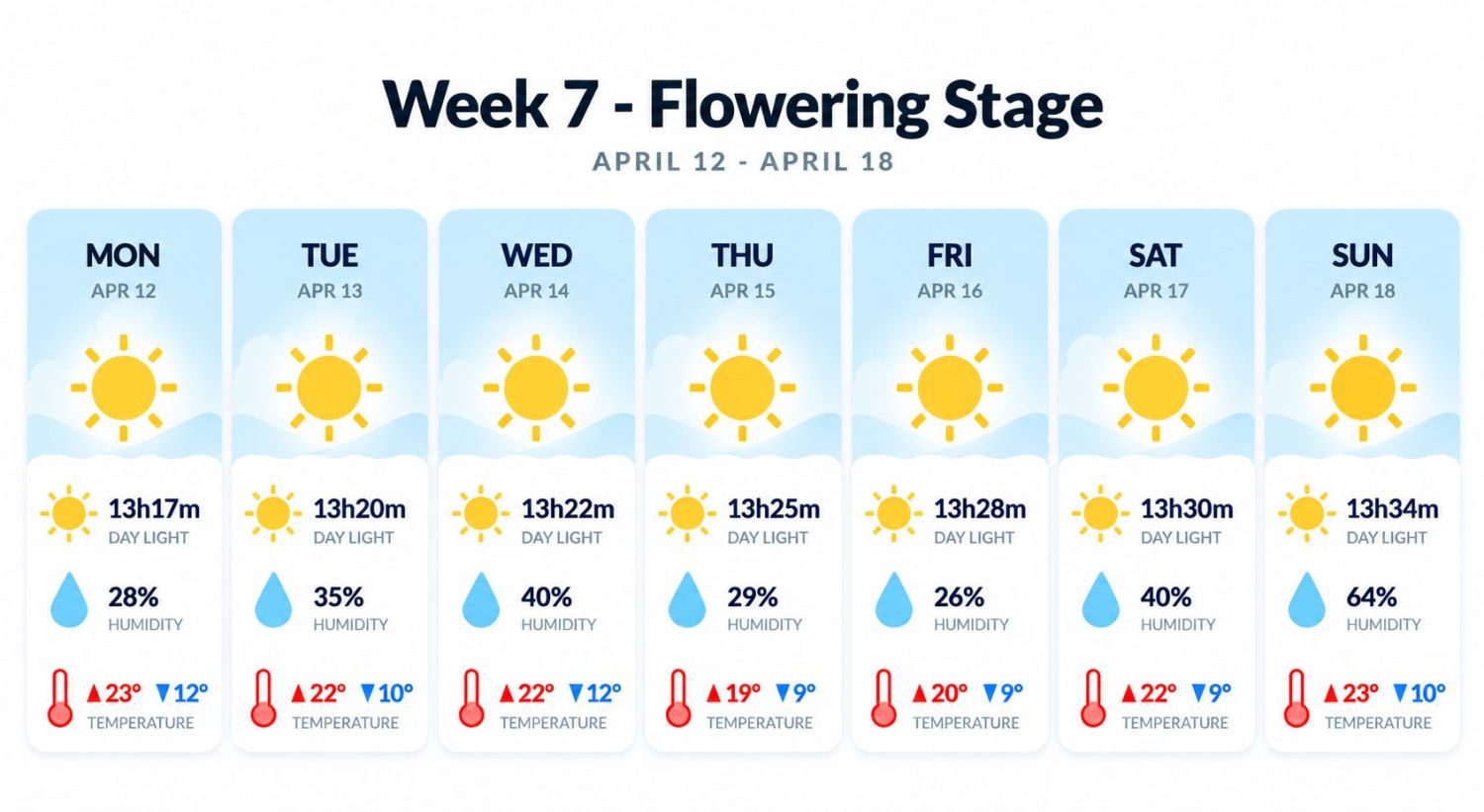 Growing cannabis outdoors in Italy: week 7 of the vegetative stage