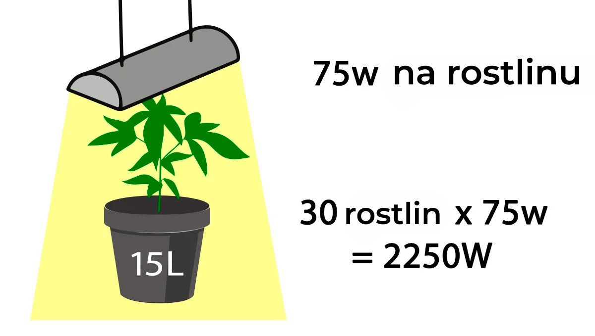 Kolik autokvětů na metr čtvereční: Potřebný příkon