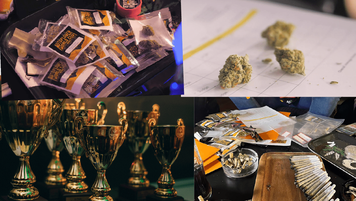 Gorilla Punch Auto ocupă locul 1 la AWC 2022