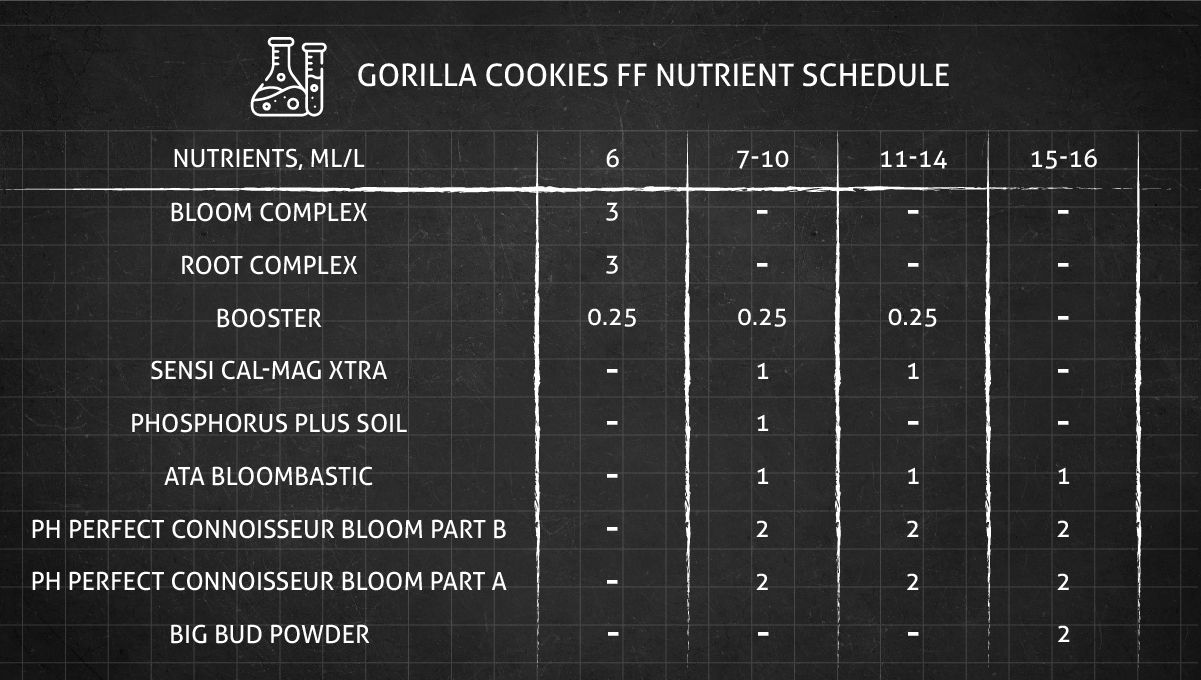 Gorilla Cookies FF cannabis strain: flower nutrient schedule