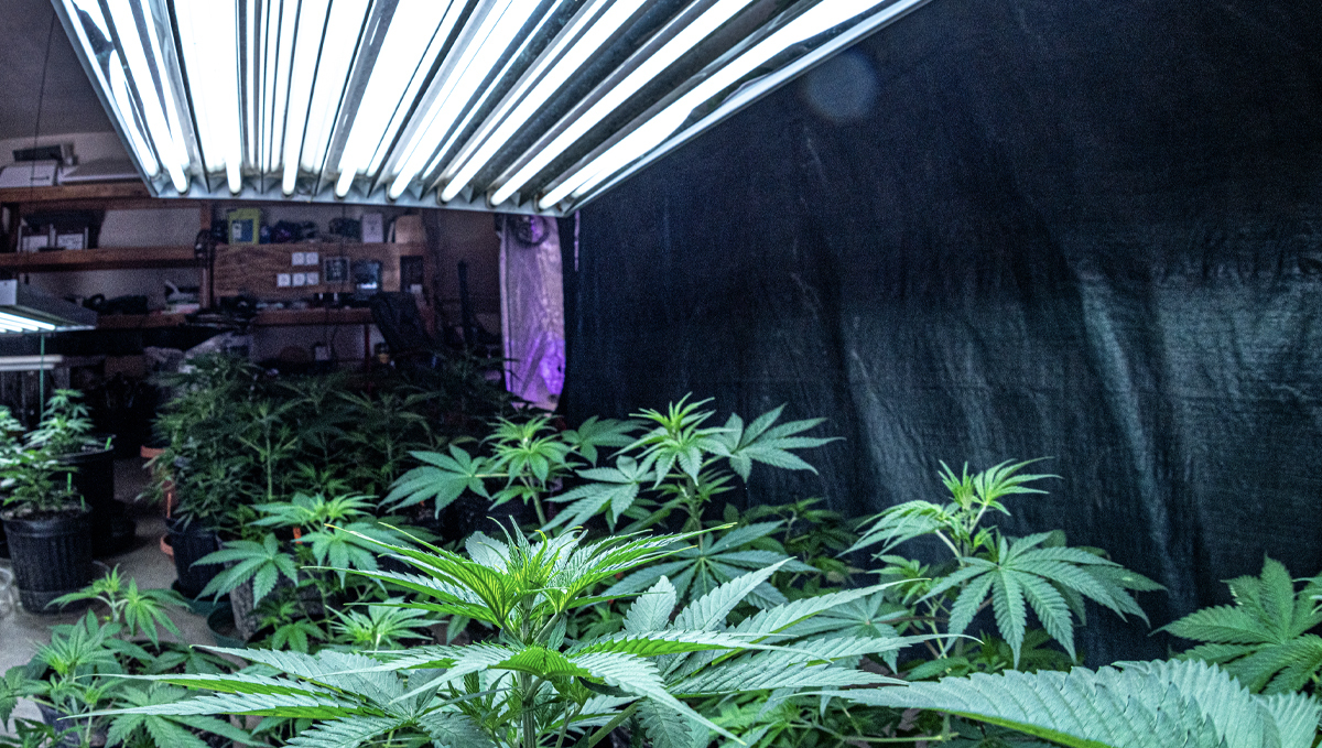 Sistema de iluminación