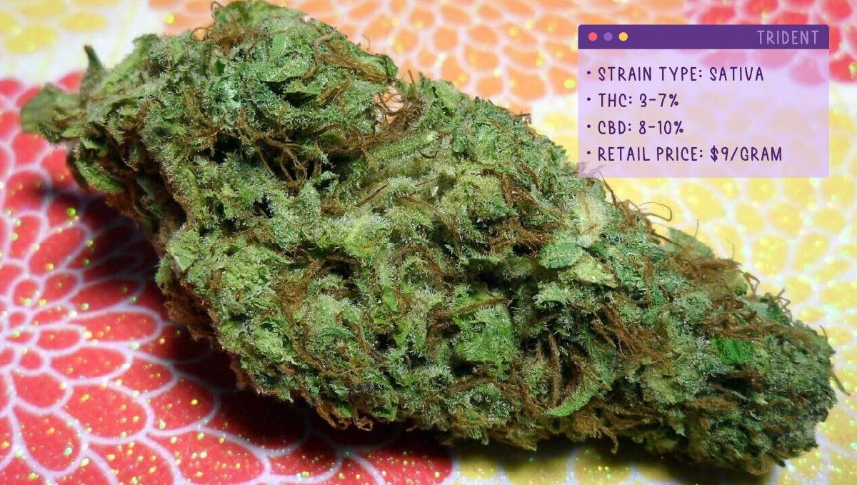 Best Weed Strains for Anxiety: Trident Best Weed Strains for Anxiety: Trident