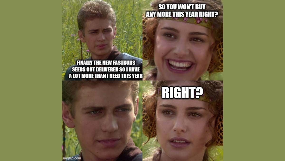 Untitled-1 (1).jpg star