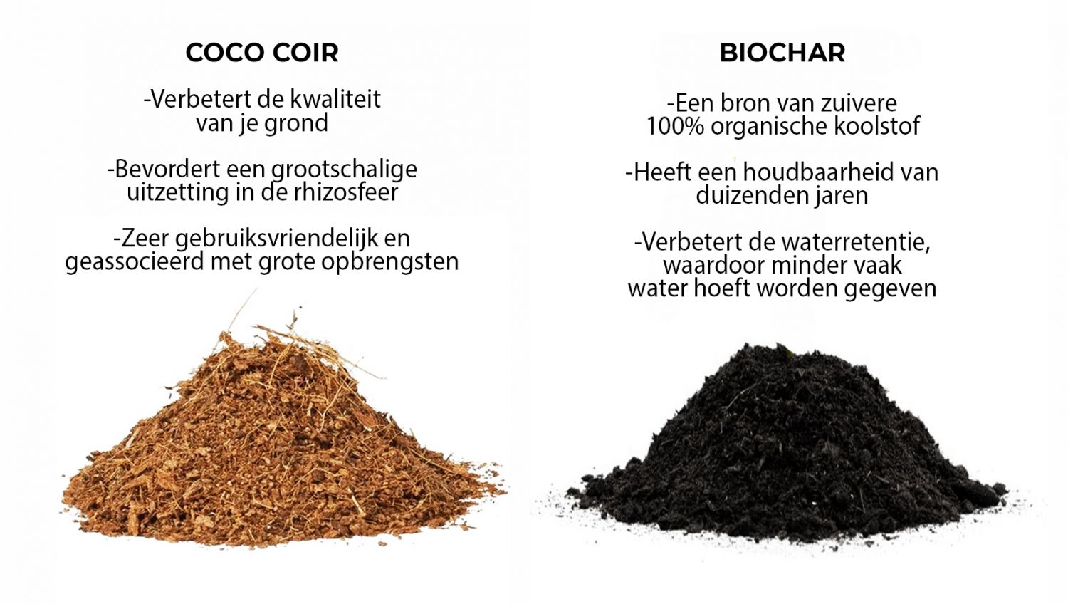 Welke grond is het beste voor zelfbloeiende cannabis?: Coco coir vs Biochar