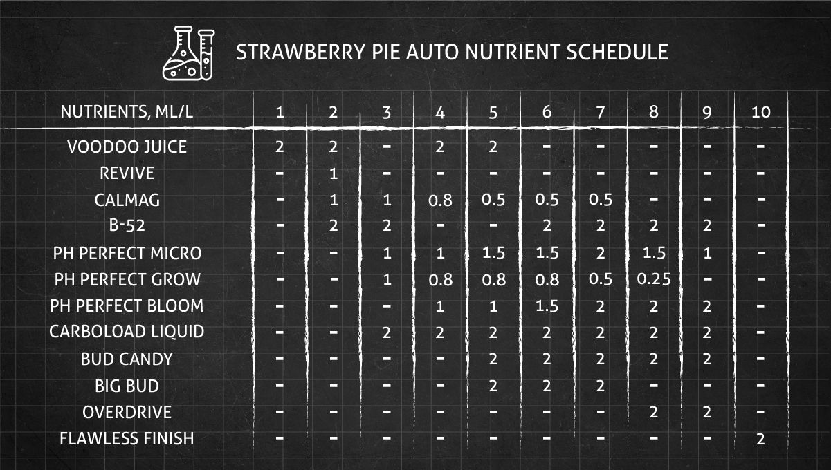 Strawberry Pie Auto Cannabis Strain Week-by-Week Guide: An autoflower feeding chart, weeks 1-10
