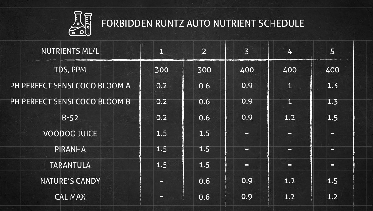 Forbidden Runtz Auto Cannabis Strain Week-by-Week Guide: The feeding schedule for the whole of the vegetative phase Forbidden Runtz Auto Cannabis Strain Week-by-Week Guide: The feeding schedule for the whole of the vegetative phase